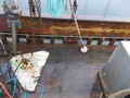 Wahl Trawler Troller Longliner Tuna Boat thumbnail image 14