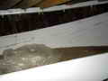 Wahl Trawler Troller Longliner Tuna Boat thumbnail image 39