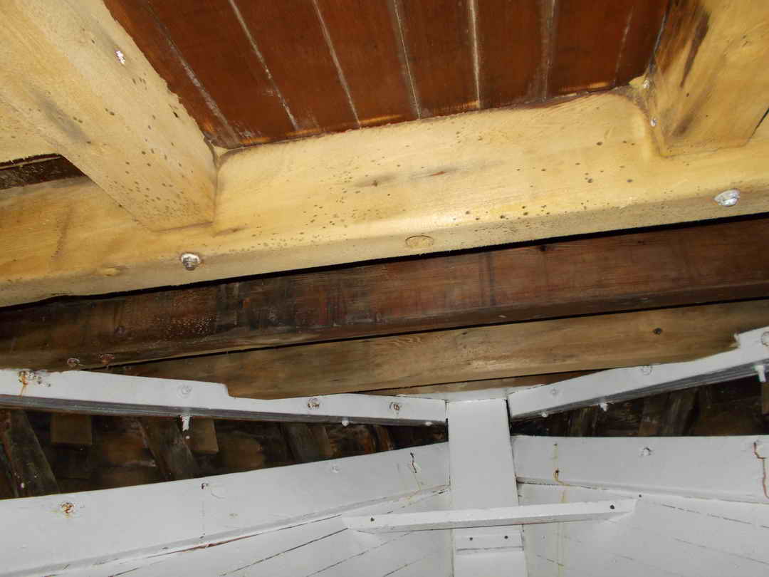 Wahl Trawler Troller Longliner Tuna Boat image 40