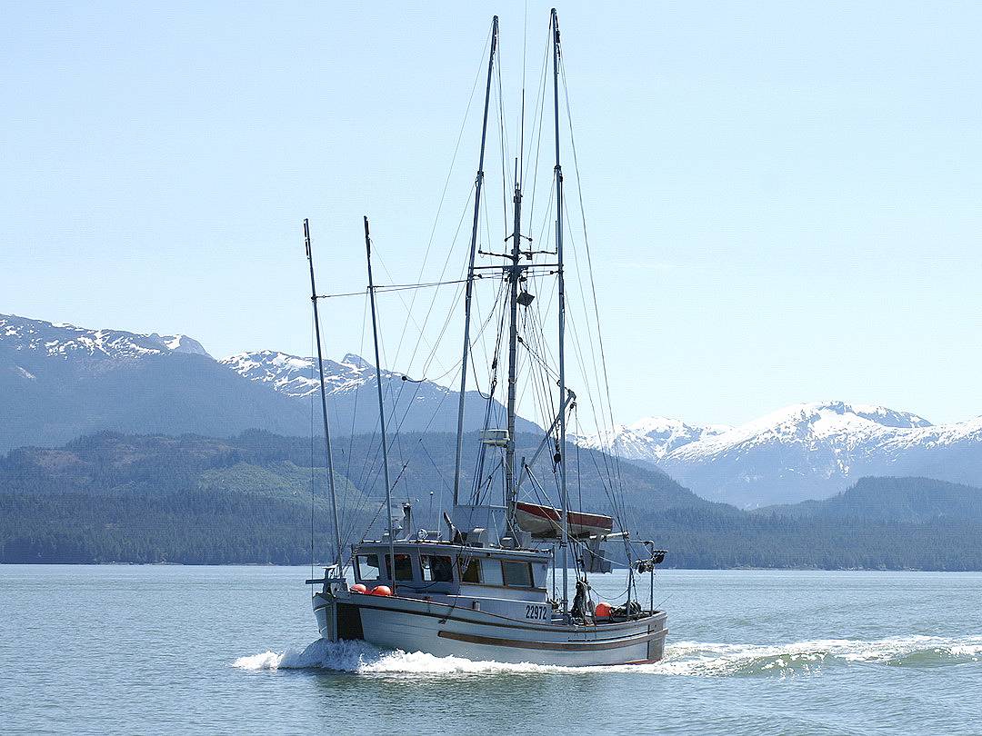 NW6118