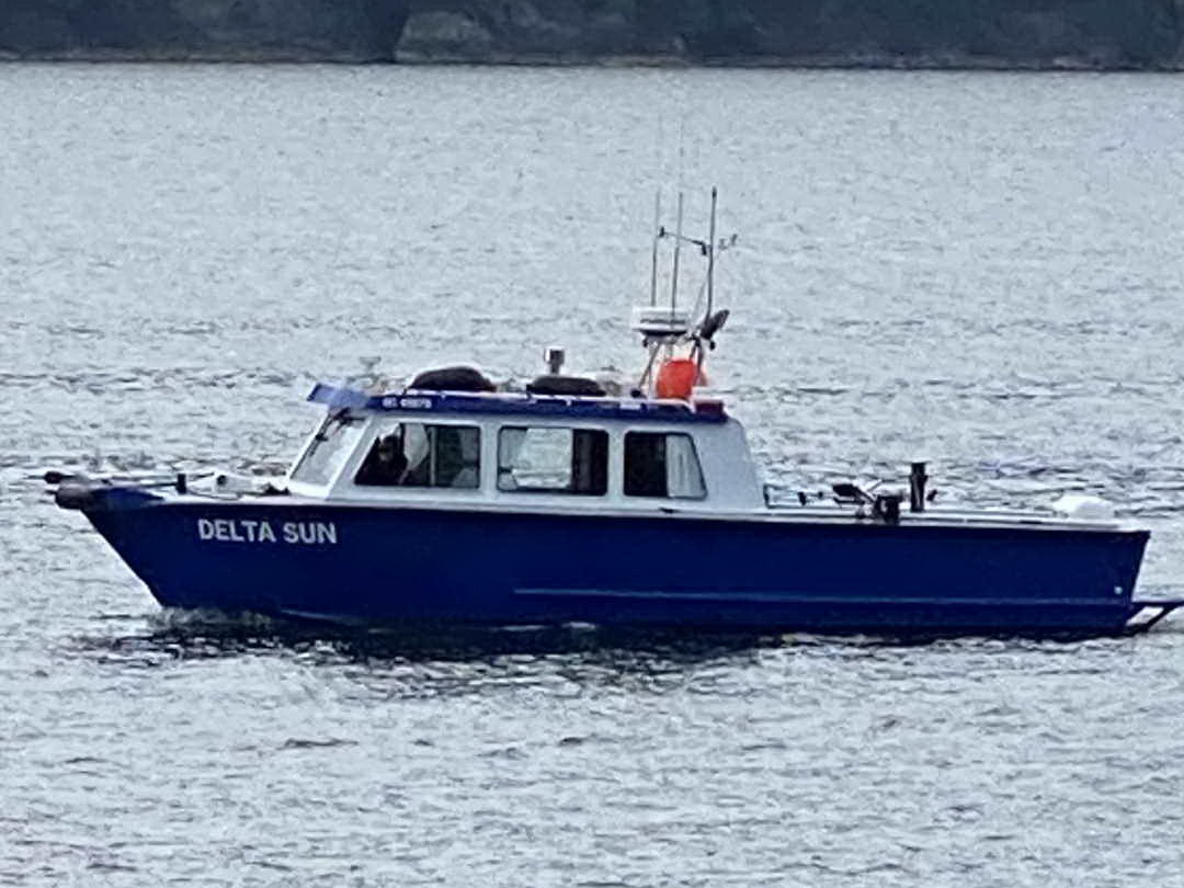 Allied Sport Fisher Transporter image 3