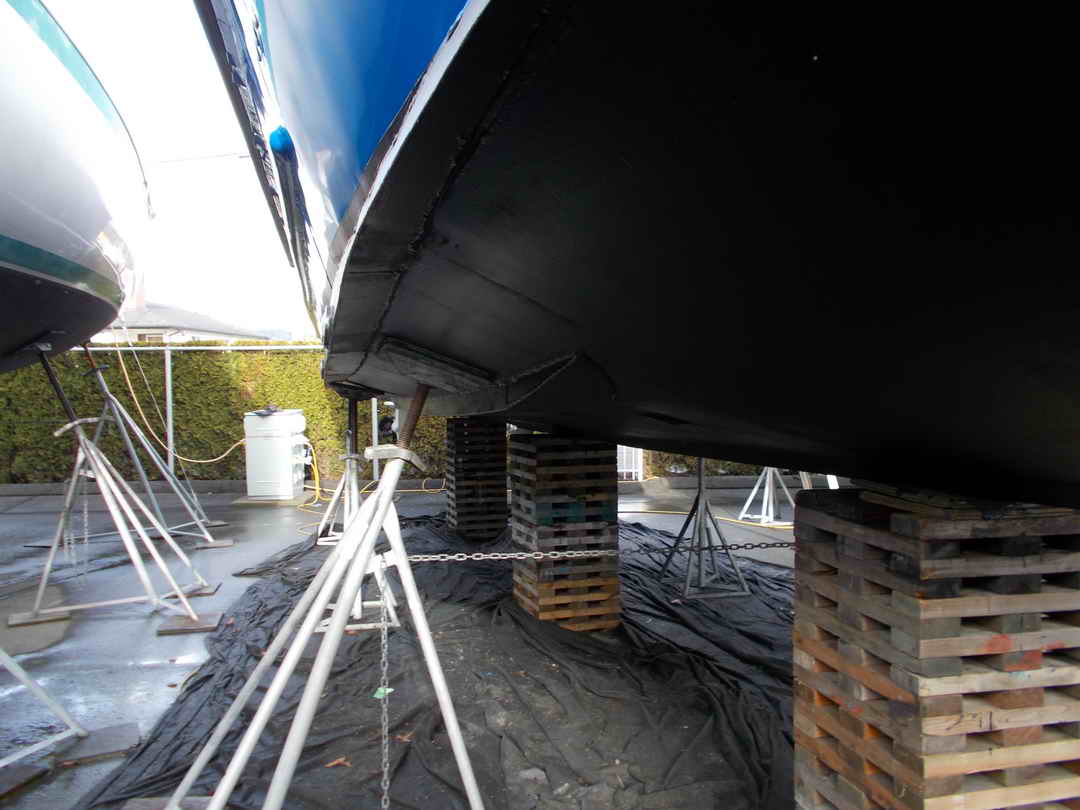 Allied Sport Fisher Transporter image 20