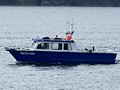 Allied Sport Fisher Transporter thumbnail image 3