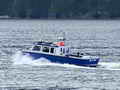 Allied Sport Fisher Transporter thumbnail image 4