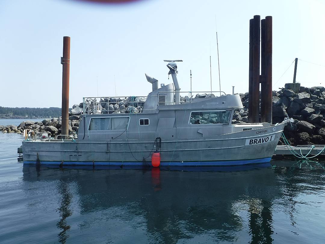 Aluminum Workboat image 1