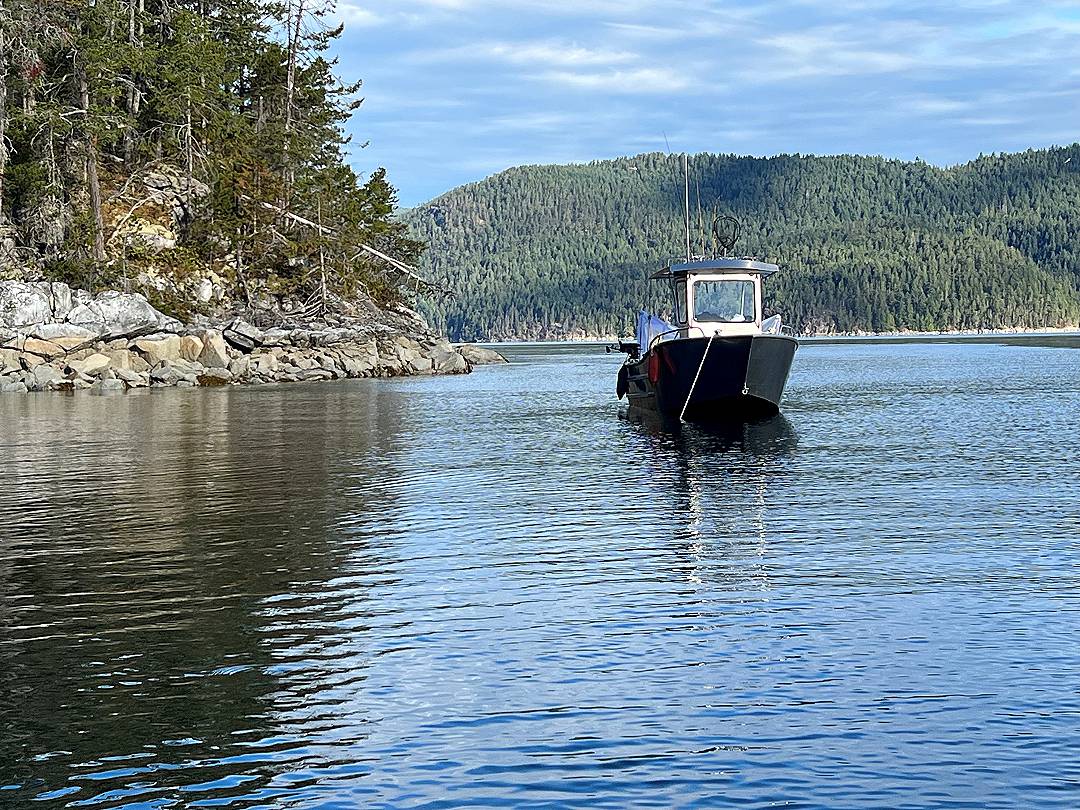 Aluminum Power Boat image 4