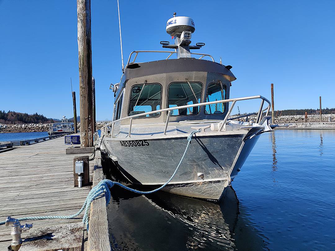 Aluminum Lifetimer Boats image 4