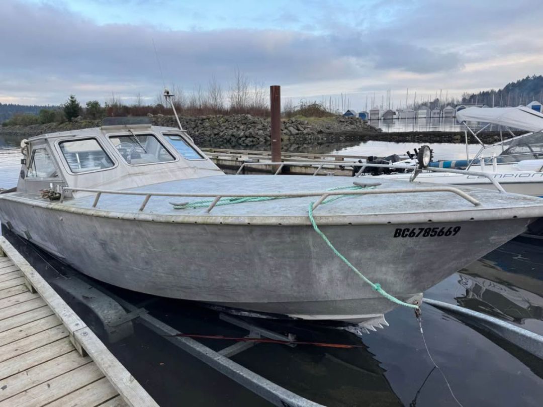 Aluminum Argo Cruiser image 1