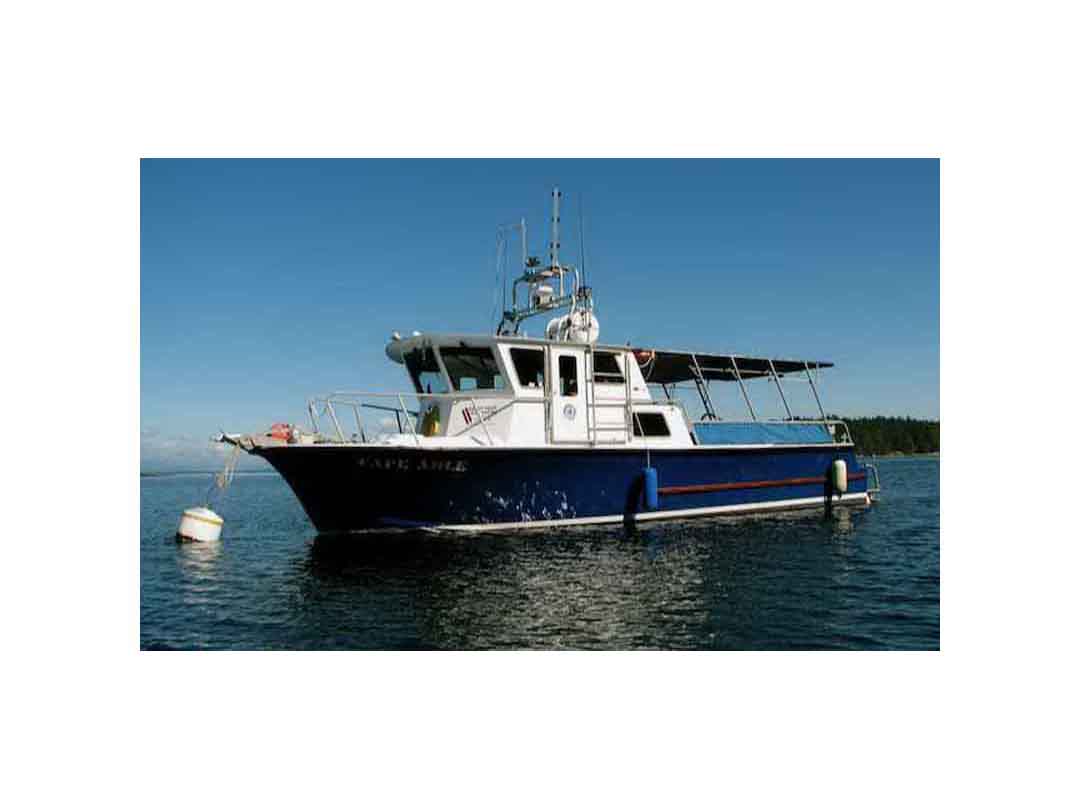 Canoe Cove Cruiser Trawler Motor Yacht image 0