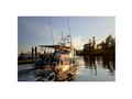 Canoe Cove Cruiser Trawler Motor Yacht thumbnail image 3