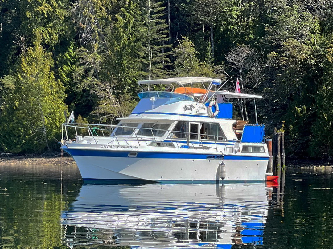 Uniflite Tri Cabin Sport Cruiser image 1