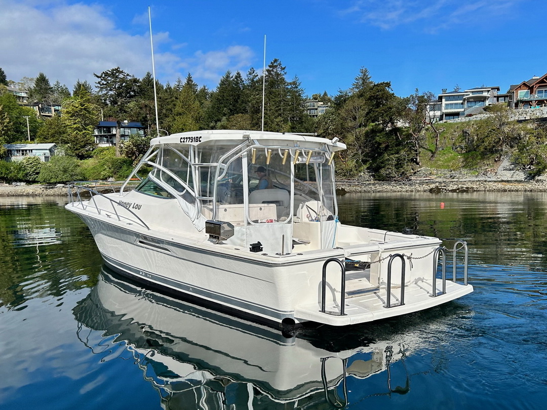 Wellcraft Riviera Sport Cruiser image 5