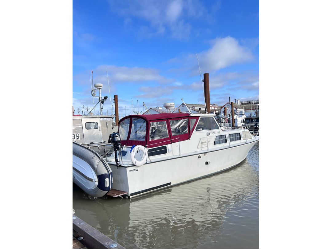 Fiberglass Apollo Yacht image 1