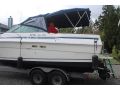 Fiberglass Searay 270 thumbnail image 3