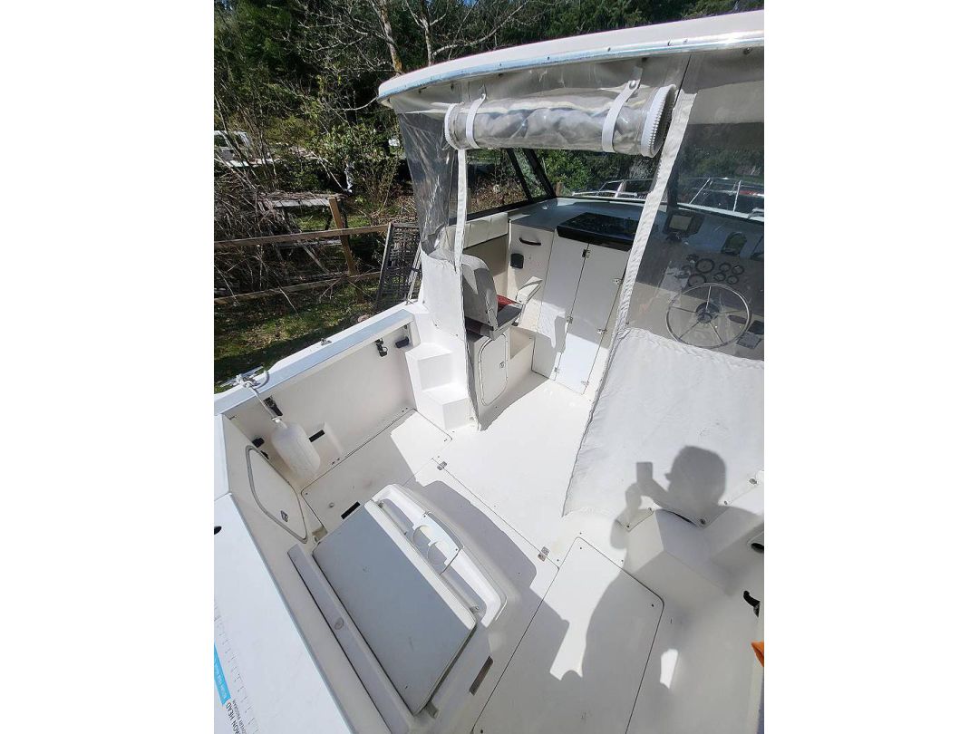 Fiberglass Bayliner 2452 image 11