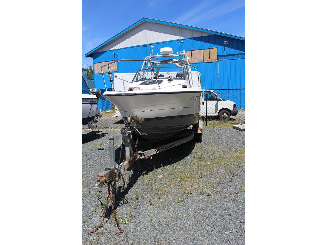 Fiberglass Bayliner Trophy image 2