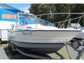 Fiberglass Bayliner Trophy thumbnail image 4
