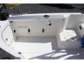 Fiberglass Bayliner Trophy thumbnail image 20