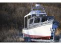Fiberglass Aluminum Cabin Cruiser thumbnail image 1