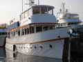 Motor Yacht thumbnail image 4