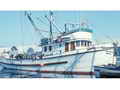 Ex Seiner Live Aboard thumbnail image 0