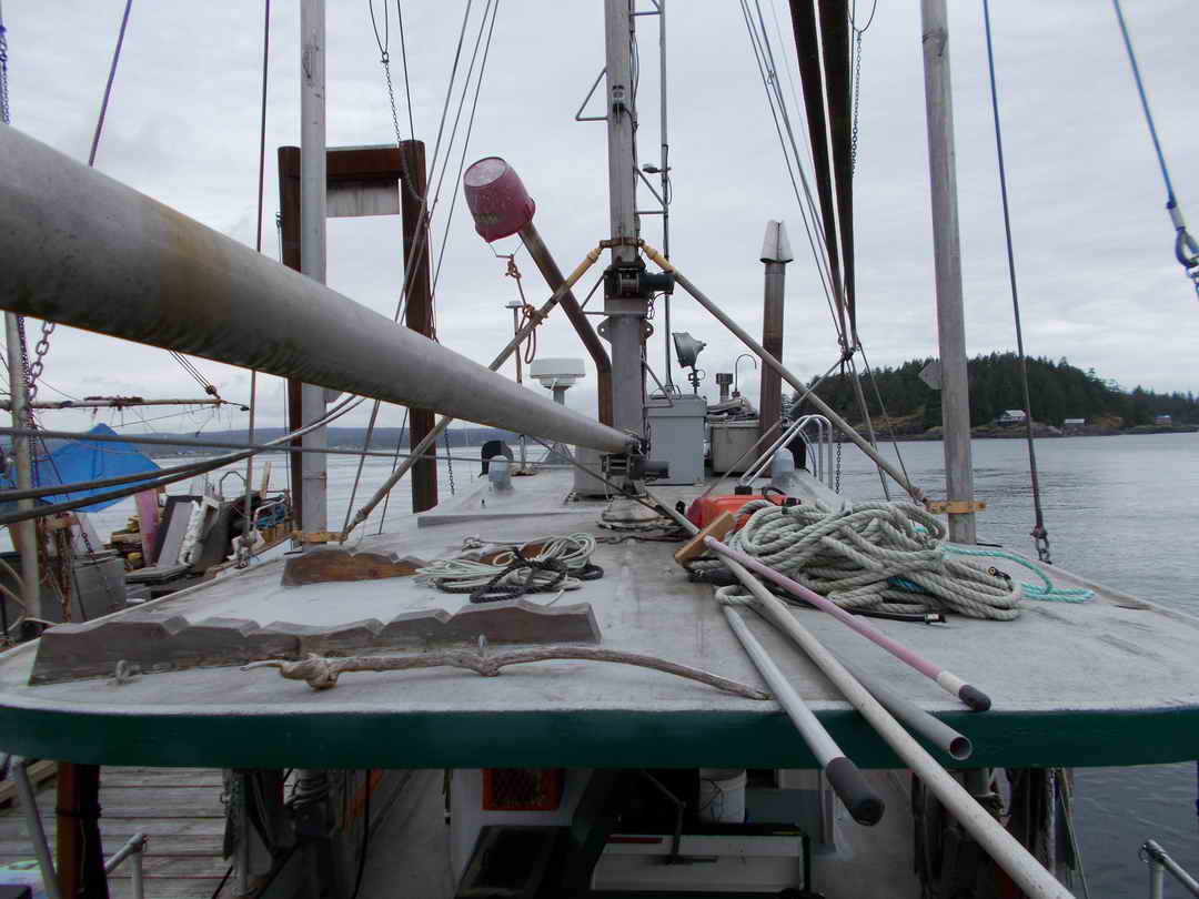 Ex-Troller Cruiser Live-Aboard Trawler image 19
