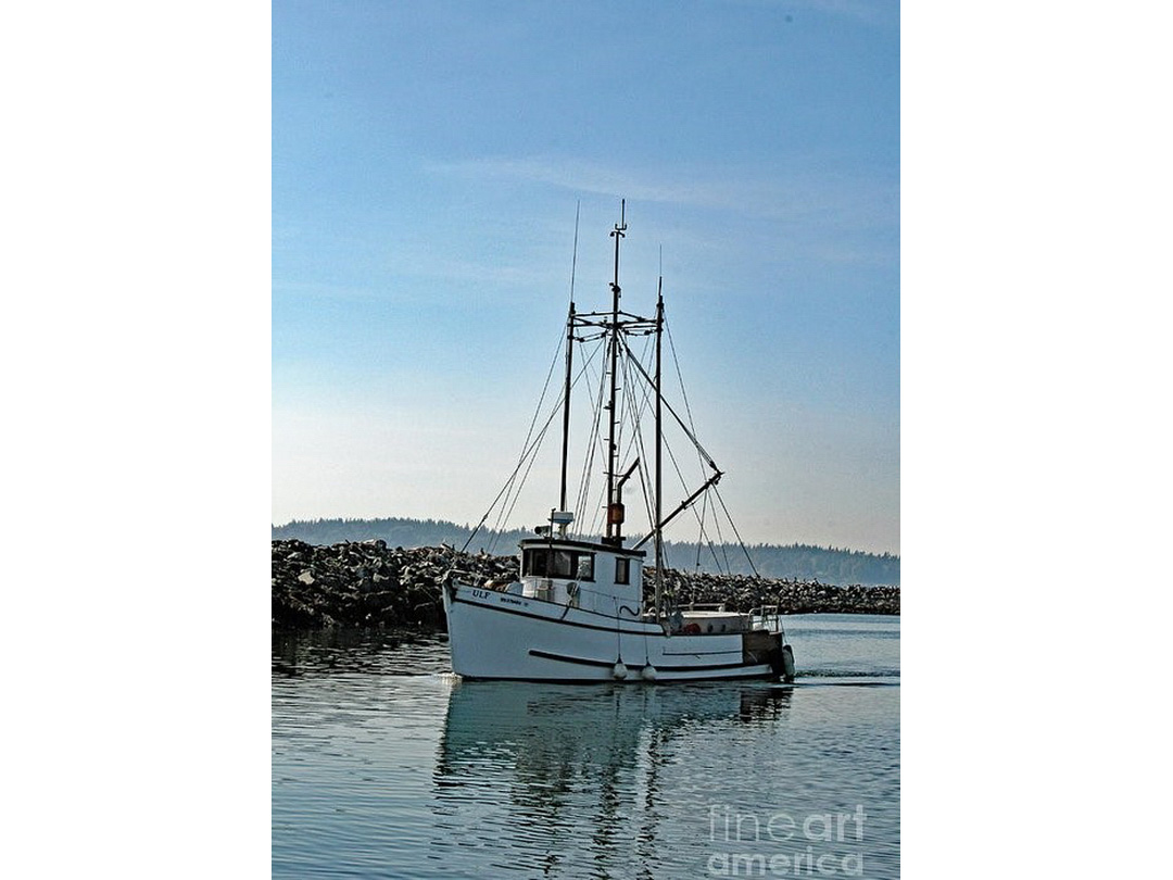 Peterson Trawler Cruiser image 0