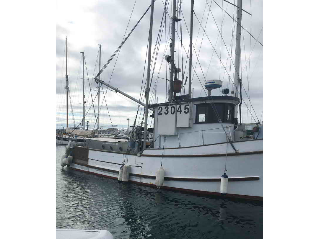 Peterson Trawler Cruiser image 1
