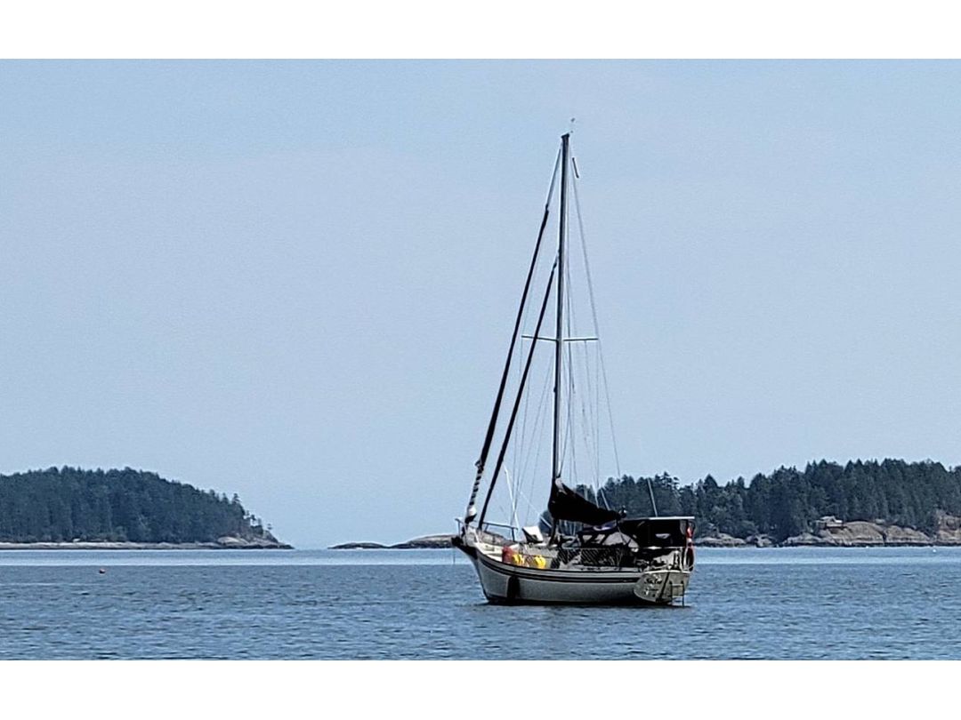 Bayfield Sailboat image 1