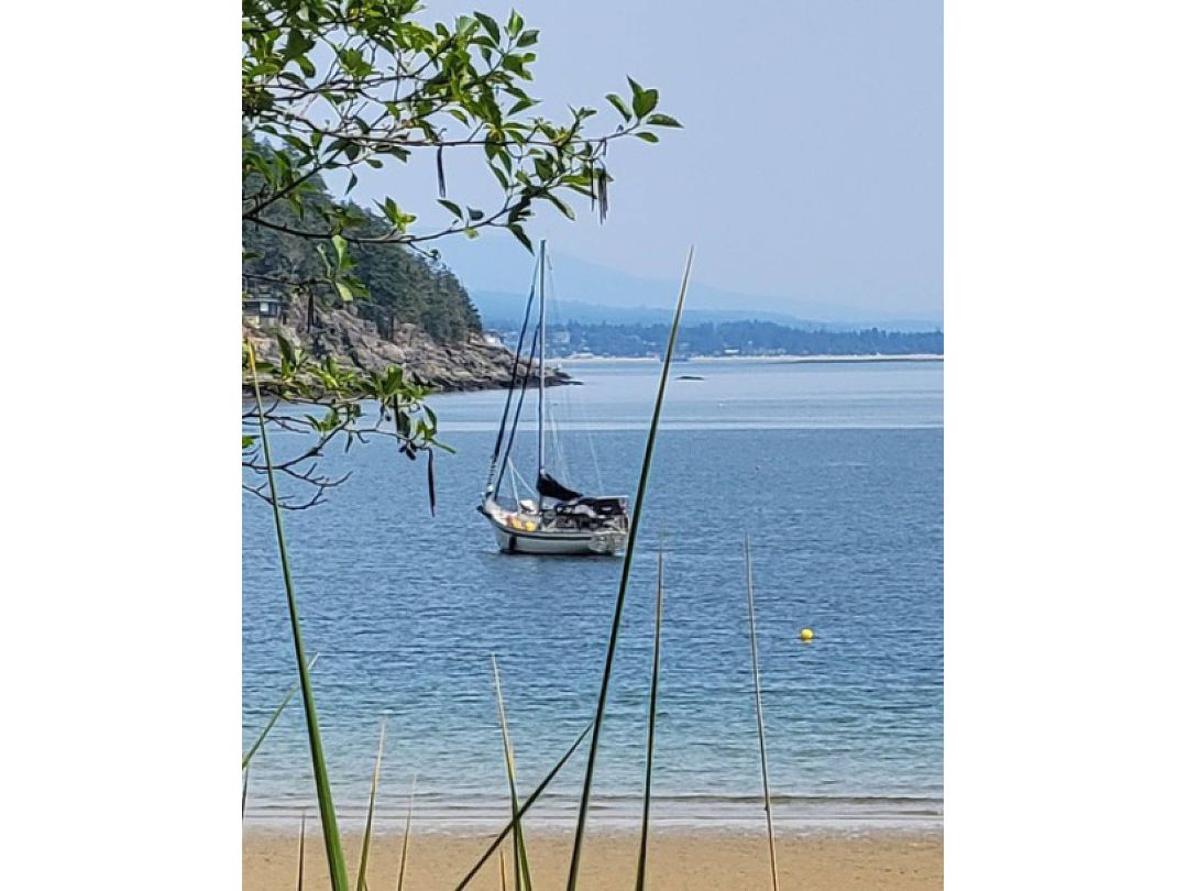 Bayfield Sailboat image 2