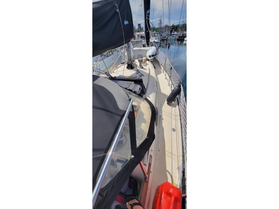 Bayfield Sailboat image 3