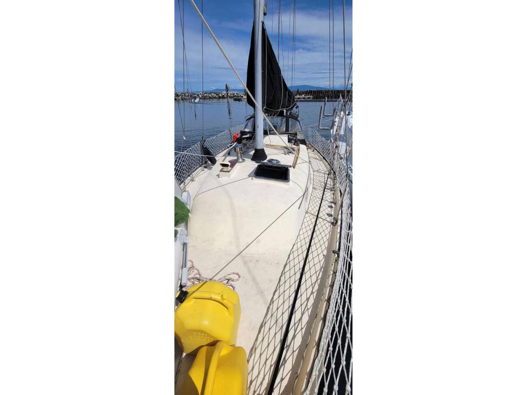 Bayfield Sailboat image 4