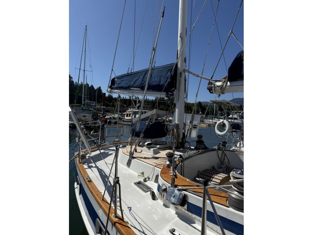 Fiberglass Bluewater Sailboat image 6