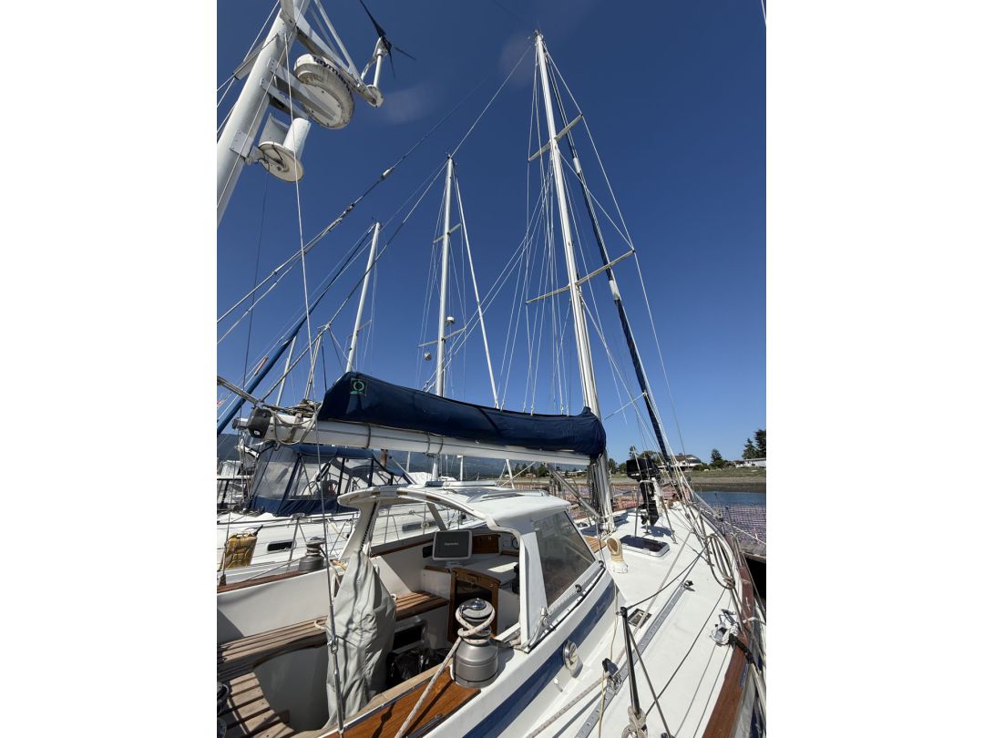 Fiberglass Bluewater Sailboat image 9