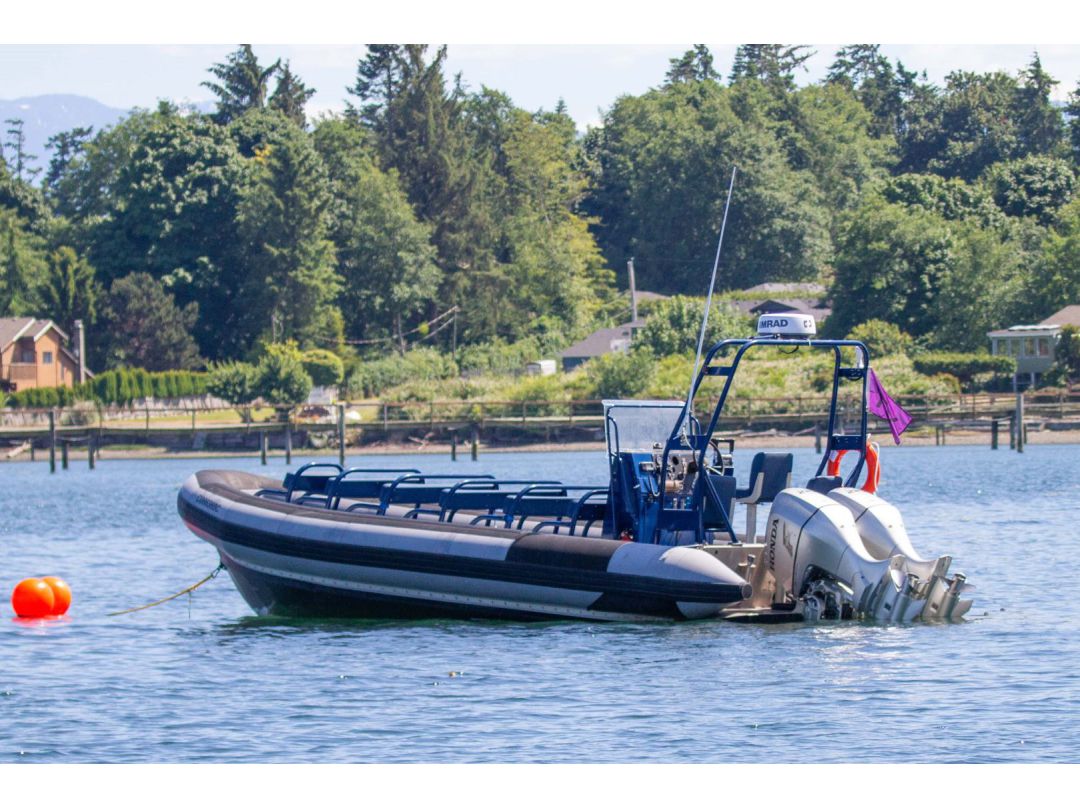 Lifetimer 17 Passenger Rib image 3
