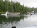 Raider Aluminum Barge thumbnail image 1