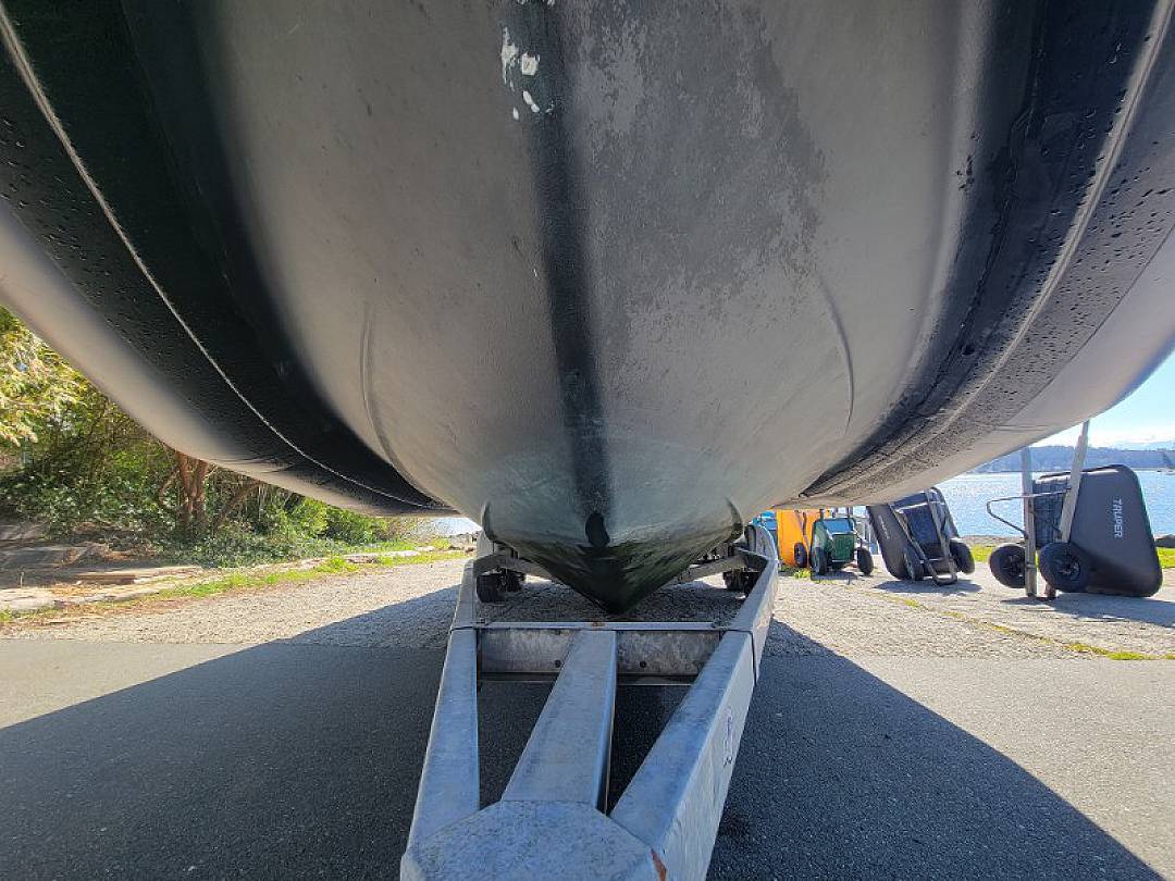 Bombard image 7