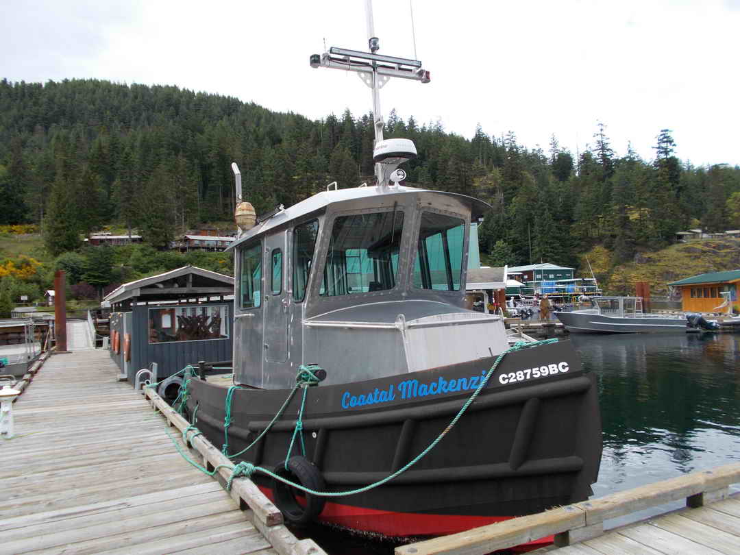 Tug Barge And Accommodation Trailer image 1