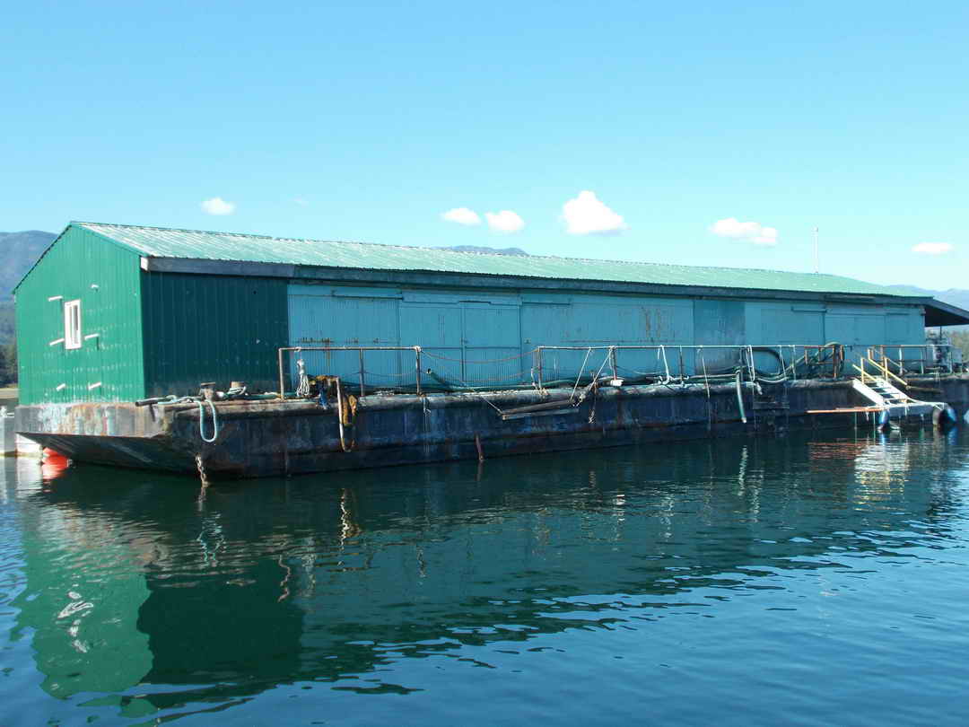 Work Barge image 1