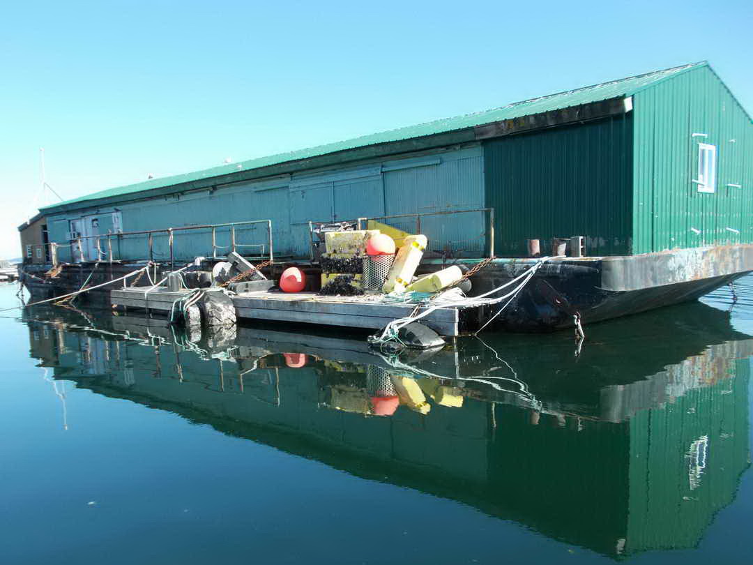 Work Barge image 2