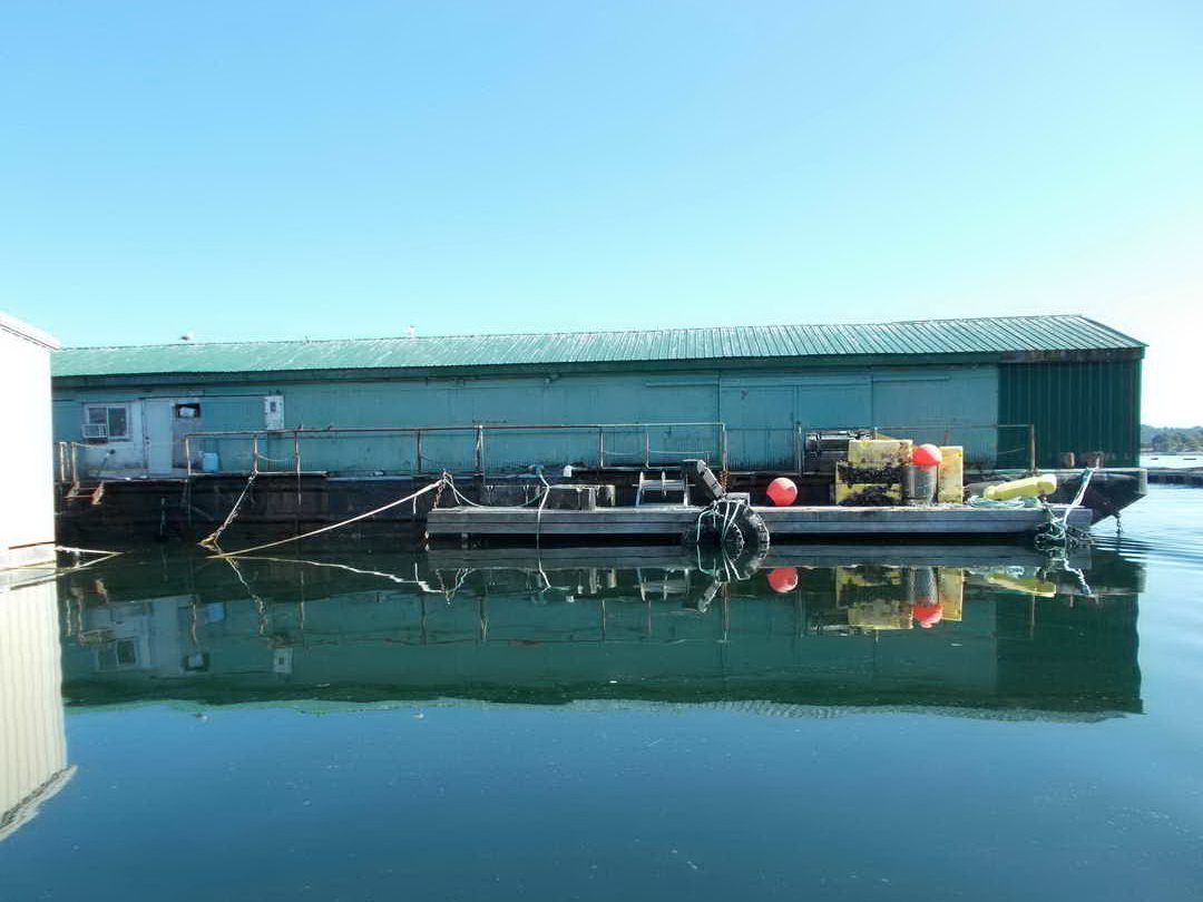 Work Barge image 3