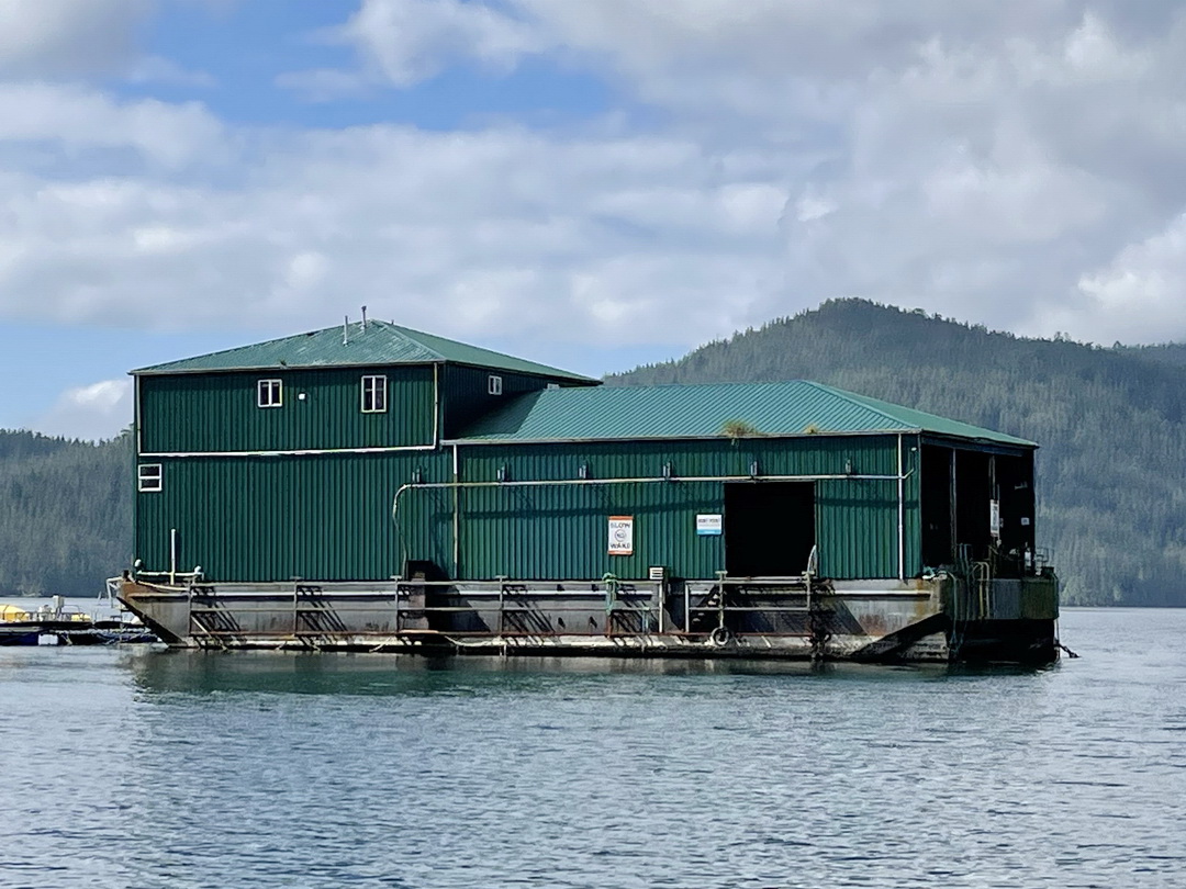 Steel Camp Barge image 0