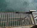 Steel Camp Barge thumbnail image 12