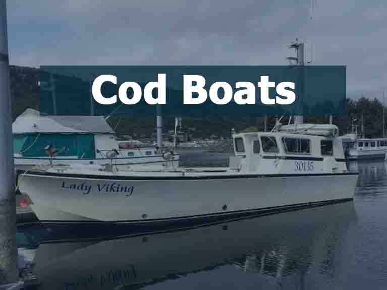 Used Commercial Fishing Boats For Sale - Licenced Fishing Boats, Unlicenced  Fishing Boats, Skiffs, Licences and Quota