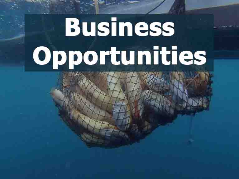 Business Opportunities For Sale
