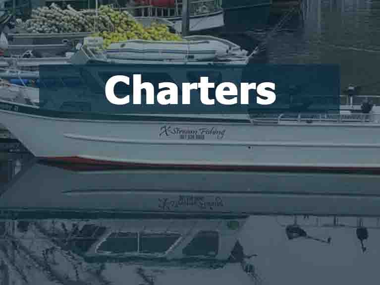 Used Pleasure Charters For Sale
