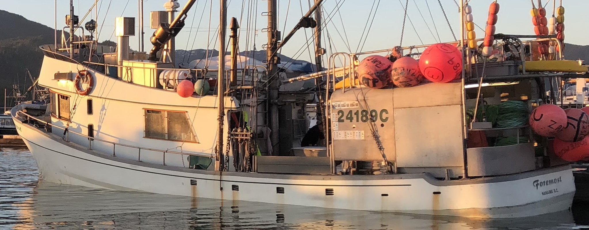 Used Boats For Sale, Boats For Sale, Used Boats