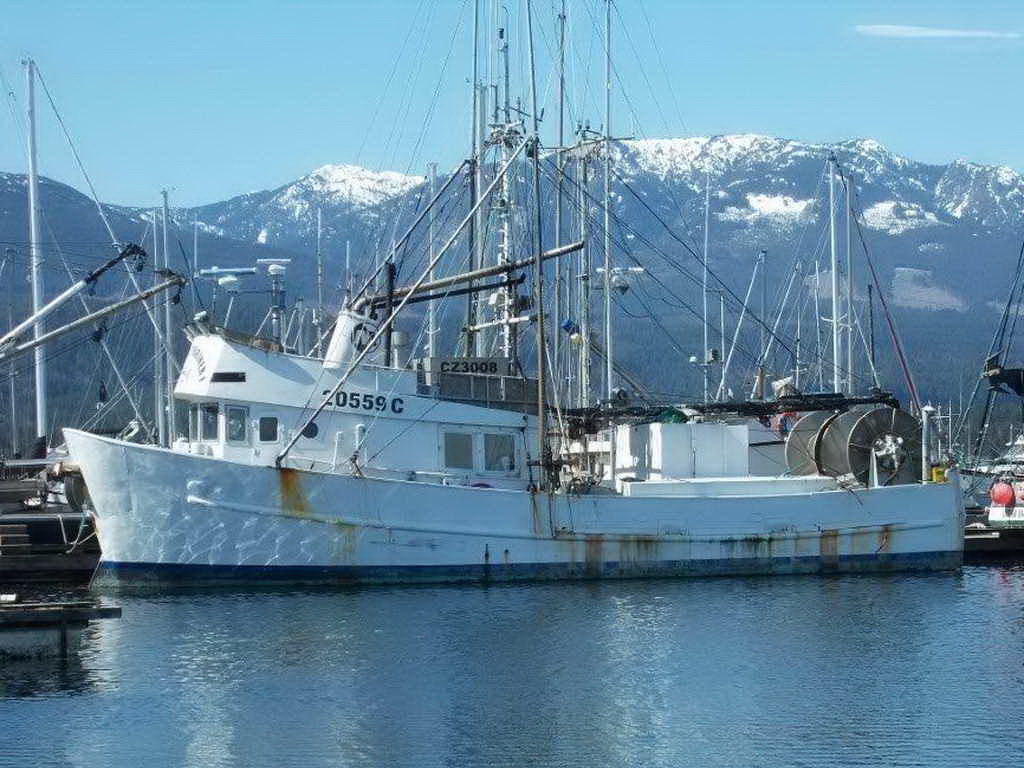 Shrimp Trawler Longliner Tuna Boat